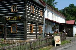 Galerie u Šneka - Líska